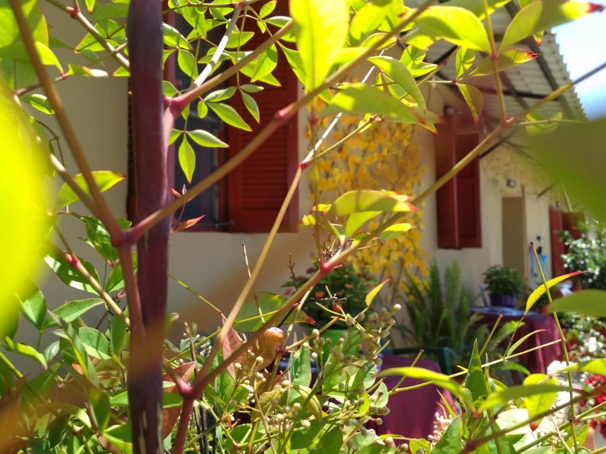 Maison Des Amis Vatopedi Luaran gambar