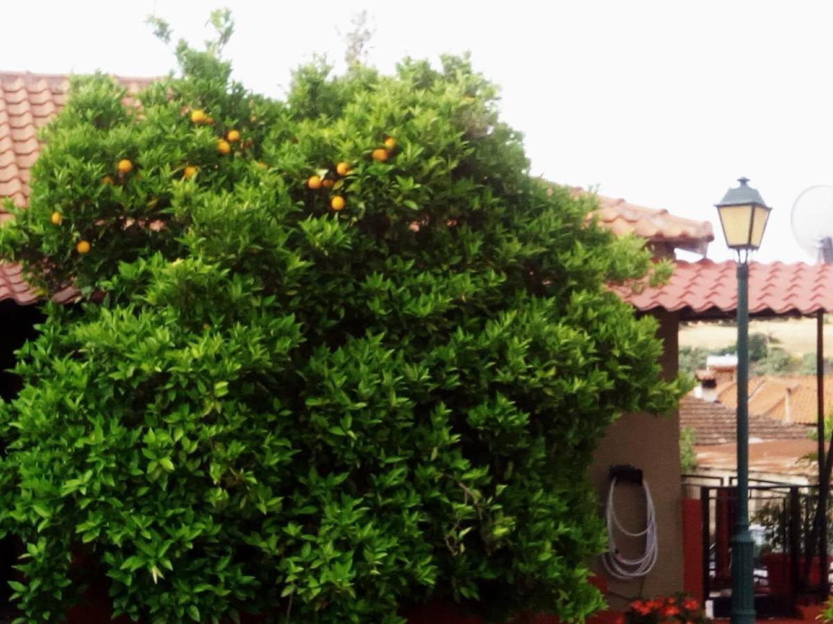 Maison Des Amis Vatopedi Luaran gambar