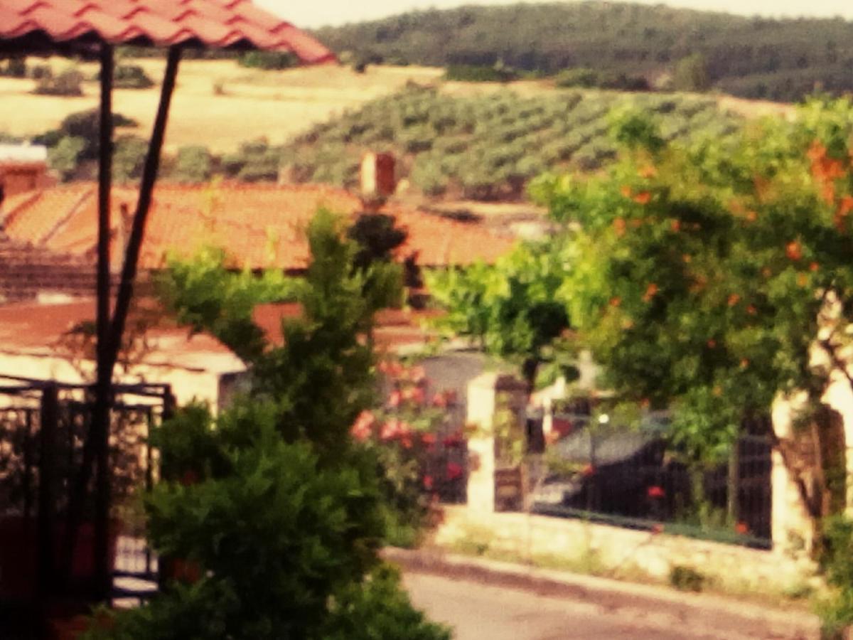 Maison Des Amis Vatopedi Luaran gambar